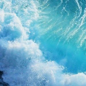 Meet your Posher, Alexandria